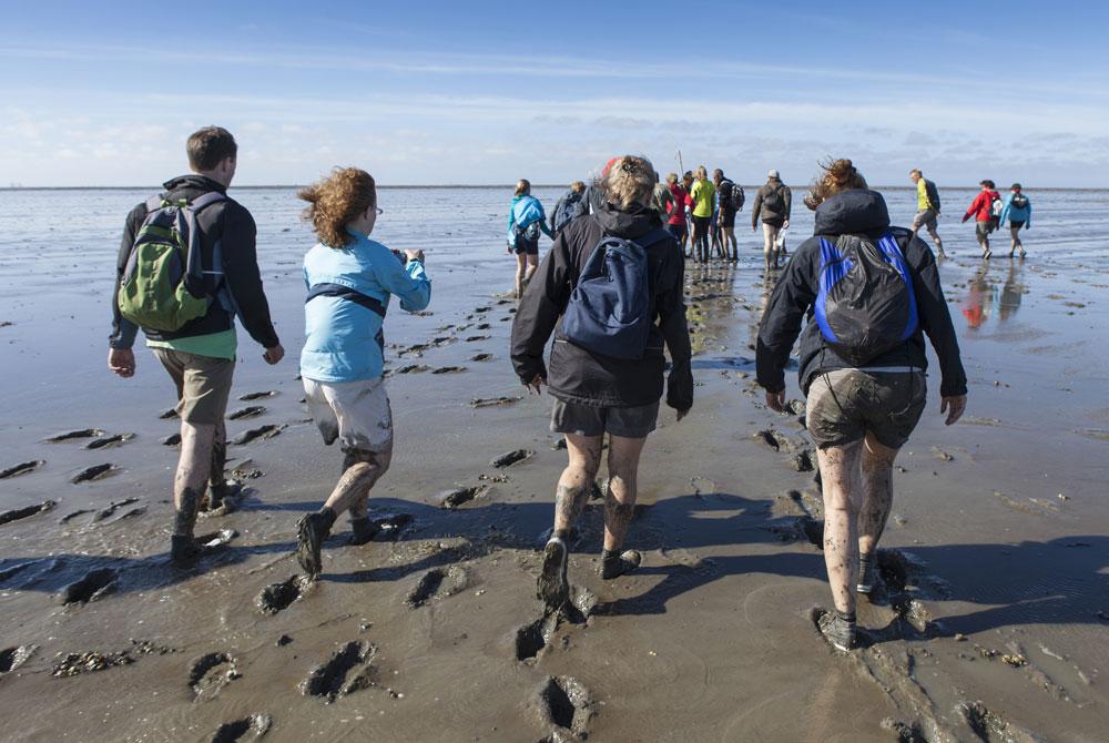 Wadlopen op Texel, Vakantiepark De Krim