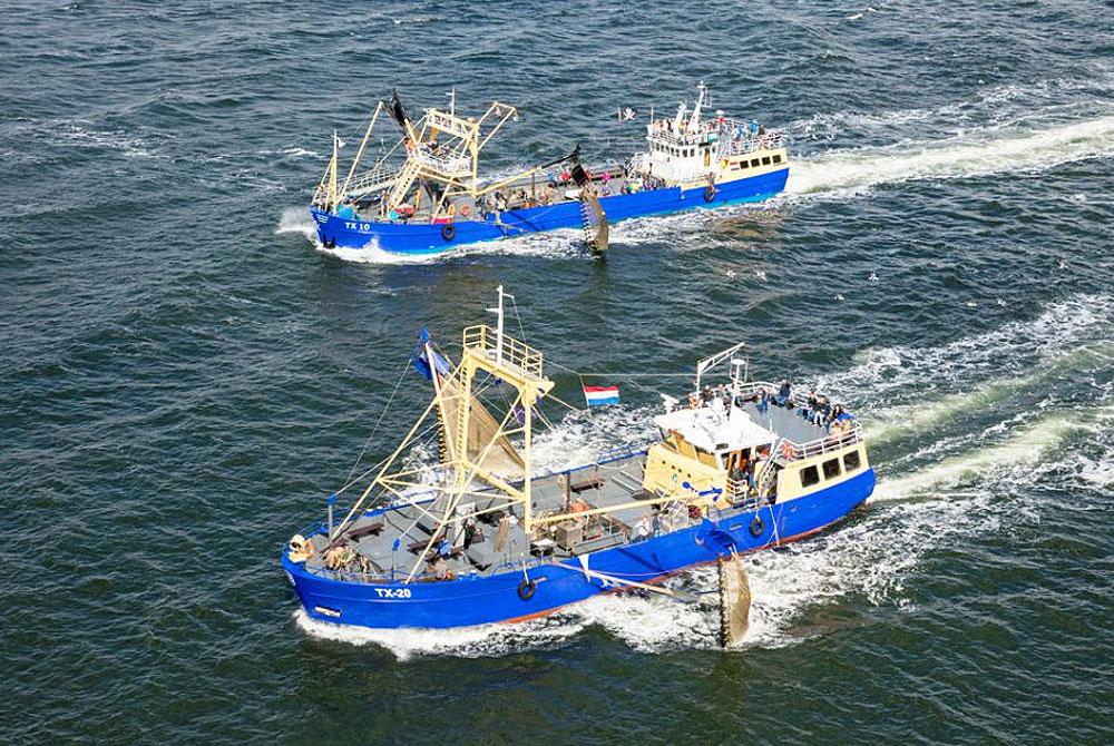 Garnalen vissen Texel, Vakantiepark De Krim