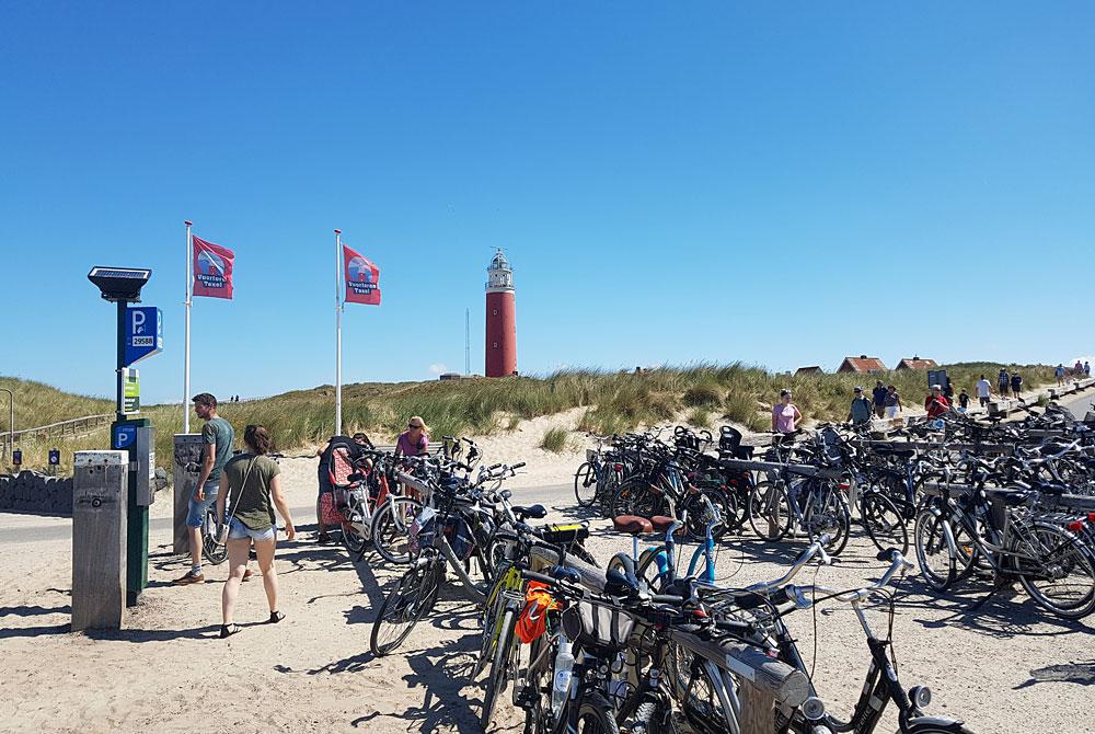Texel