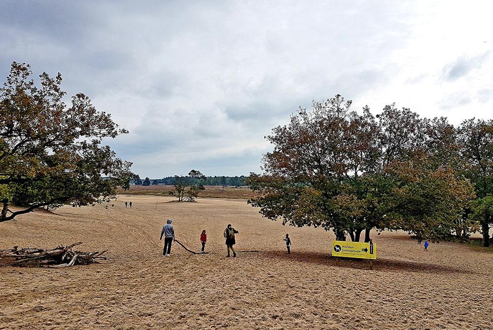 Nationaal Park De Loonse en Drunense Duinen