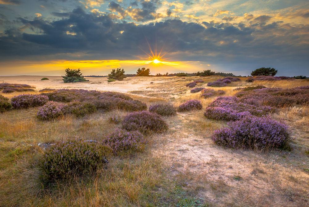 Cumulatief geur Edele De 10 mooiste natuurgebieden van Nederland → Wauw!