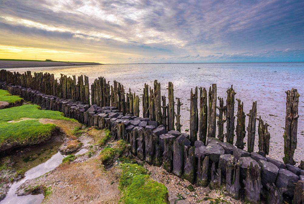 Het Waddengebied