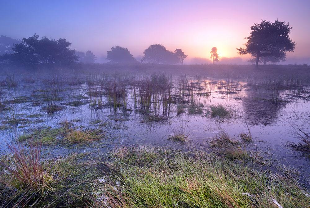 Nationaal Park De Utrechtse Heuvelrug
