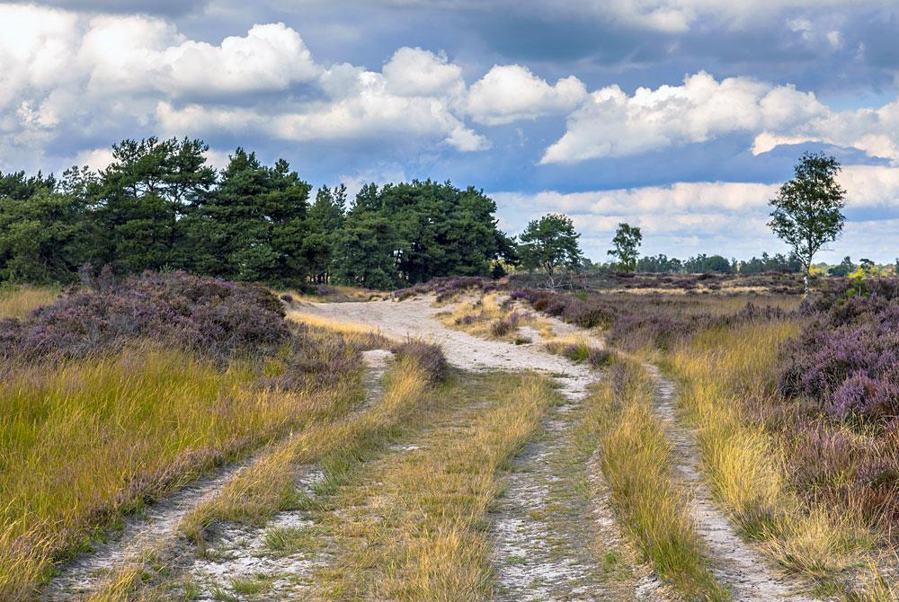 Grenspark De Zoom-Kalmthoutse Heide