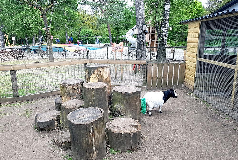Landal Rabbit Hill voor kinderen