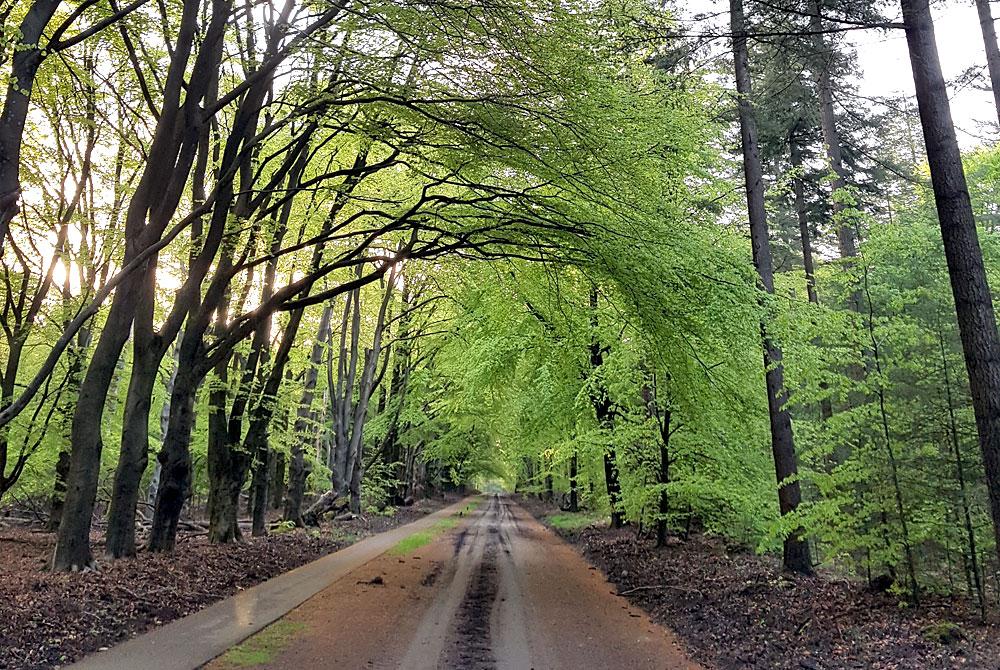 Fietsen, Landal Rabbit Hill