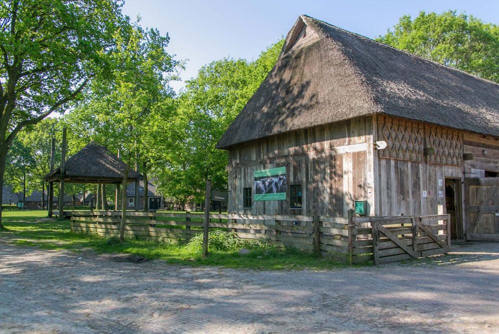 Schaapskooien, Drenthe