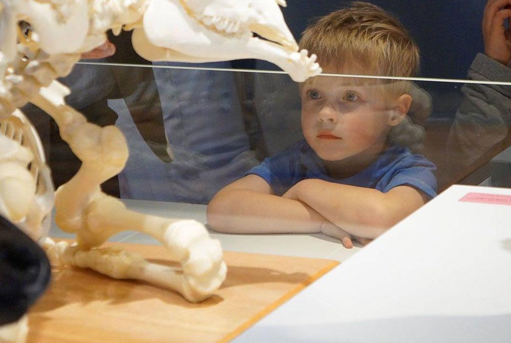 Natura Docet Wonderryck, Museum voor kinderen