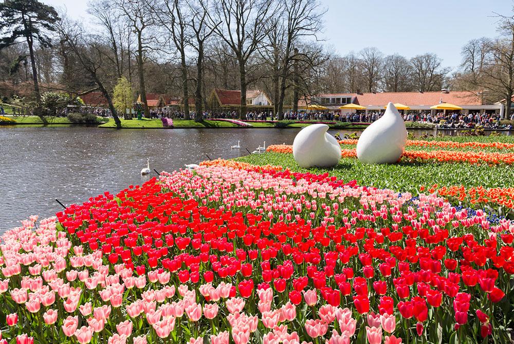 Keukenhof, Zuid-Holland