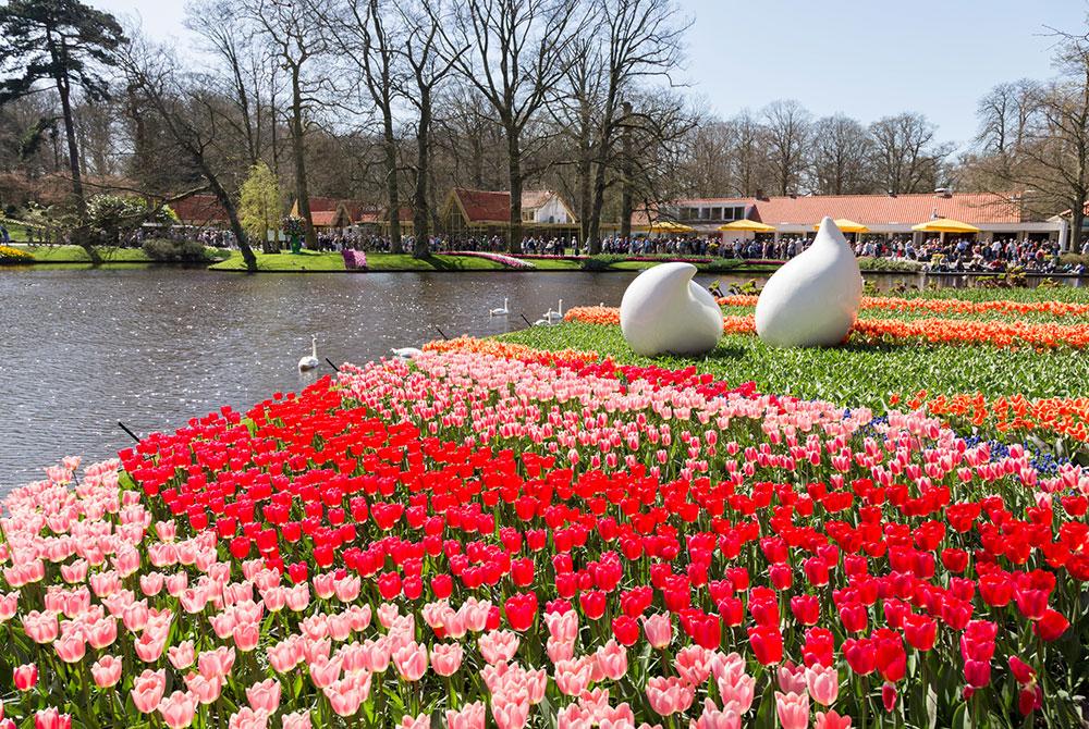 Keukenhof, Zuid-Holland