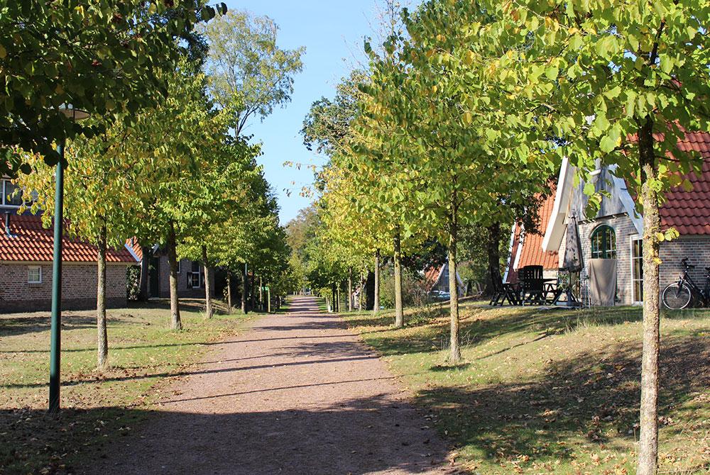 Mooi groen vakantiepark, Landal Landgoed De Hellendoornse Berg