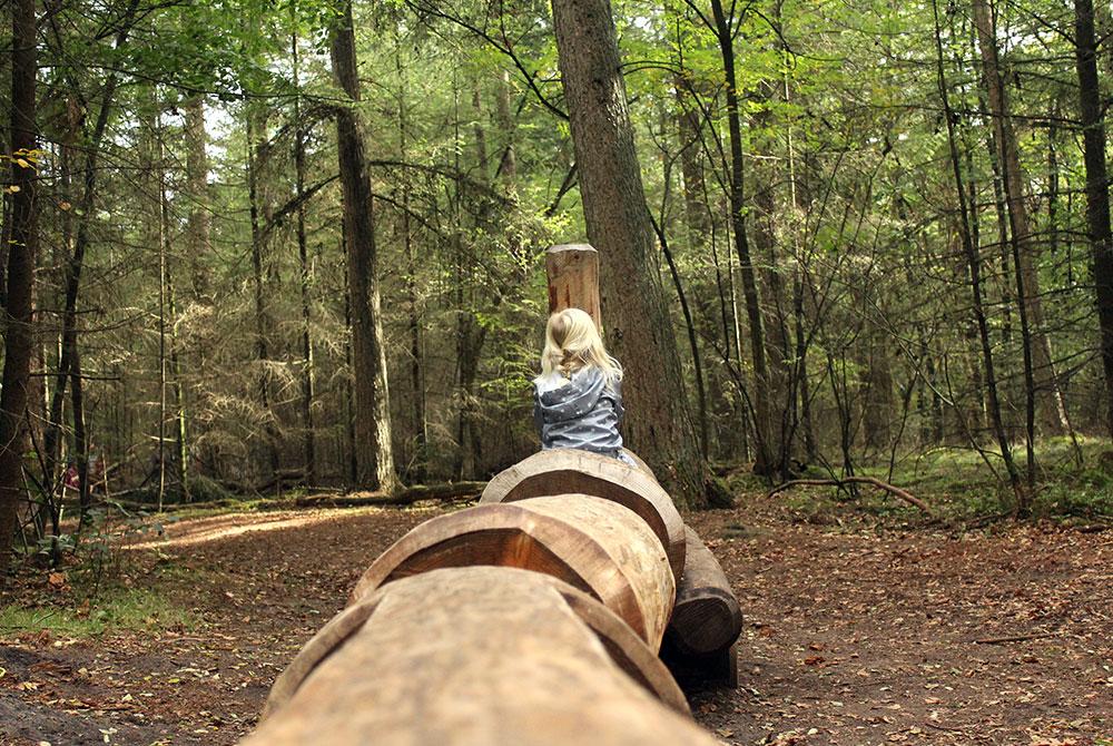Speelbos Nijverdal, Landal Landgoed De Hellendoornse Berg