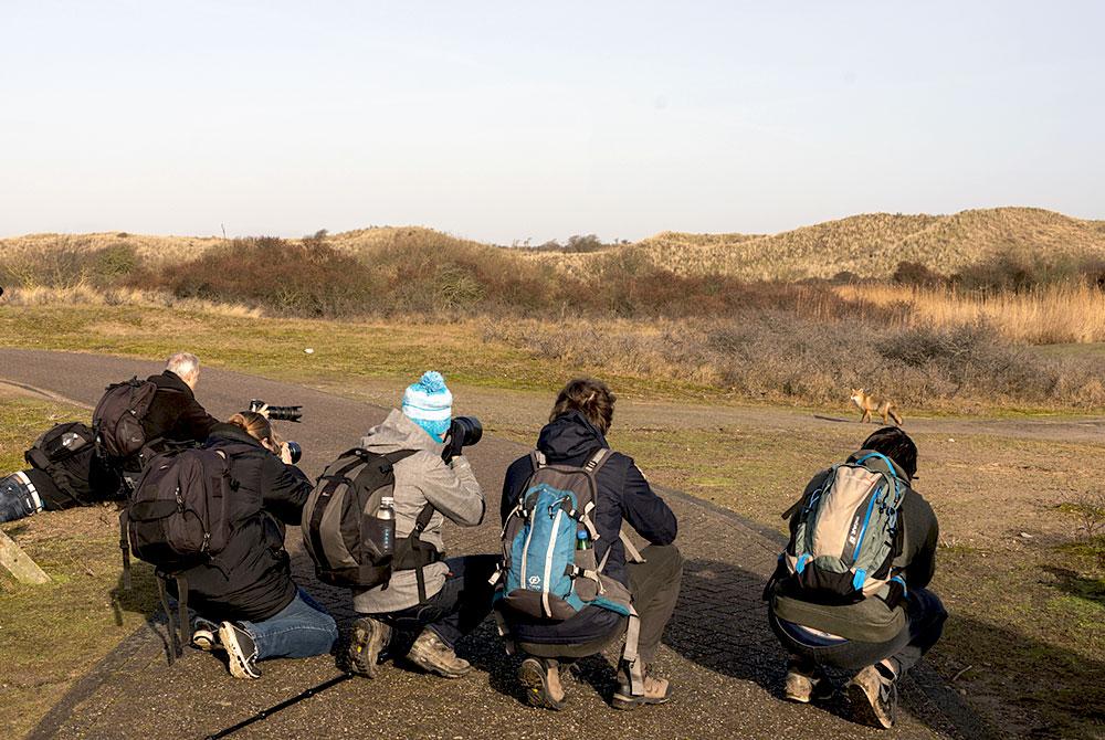 Amsterdamse Waterleidingduinen, Noord-Holland