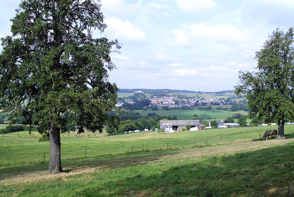 Landal Reevallis in Vijlen, Limburg
