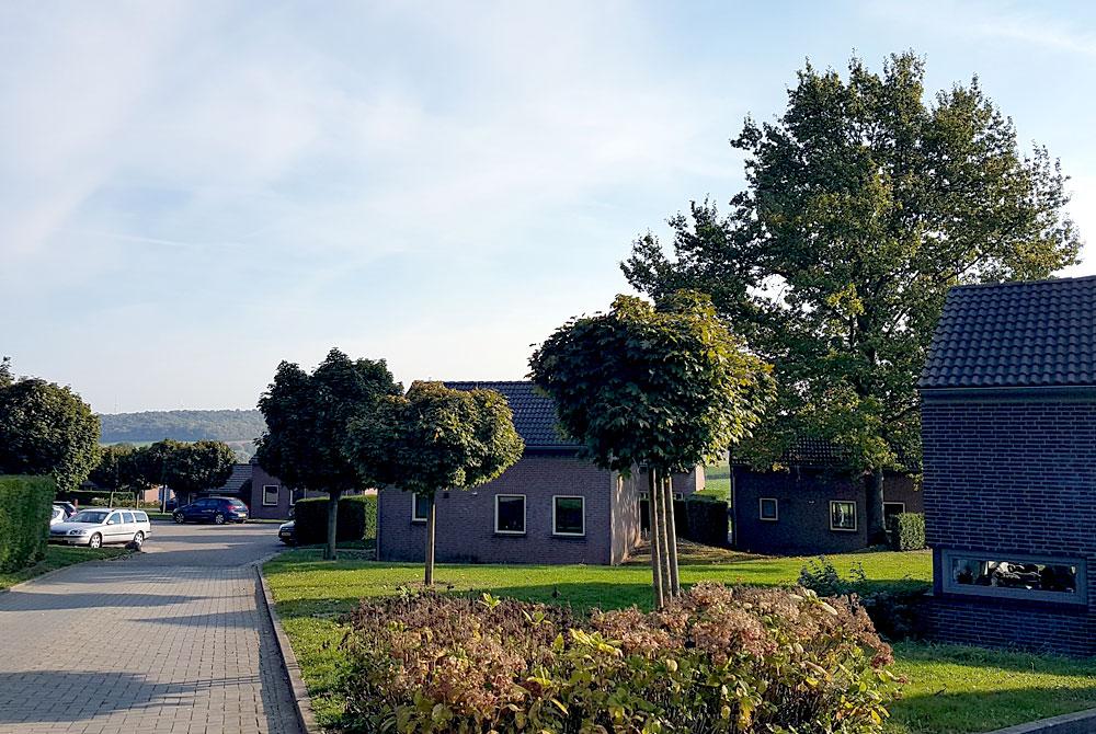 Bungalows van Landal Reevallis