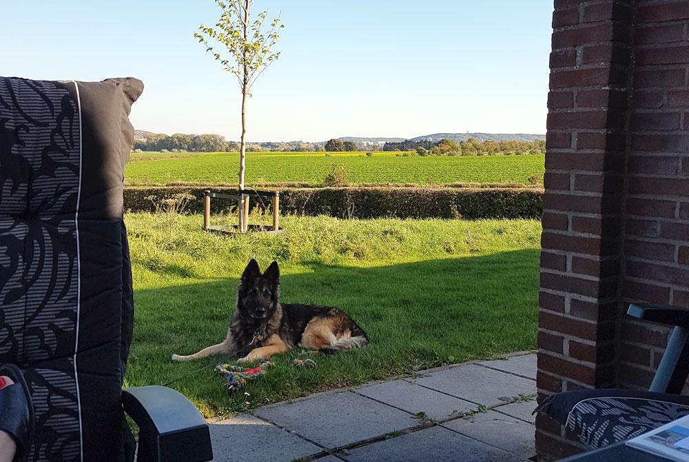 Landal Reevallis uitzicht vanuit bungalow