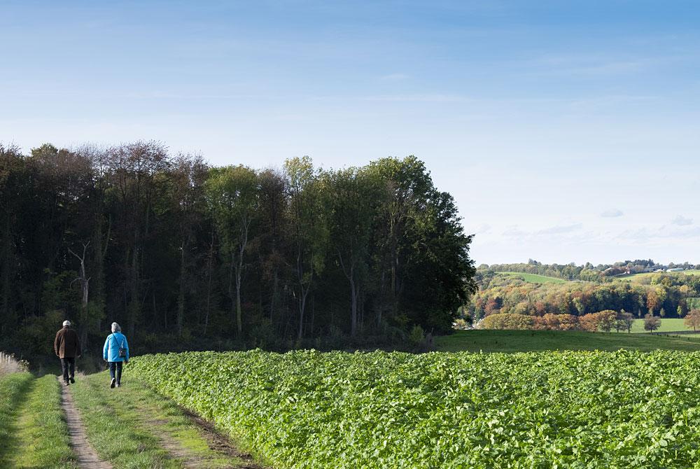Wandelen in Limburg, Landal Reevallis