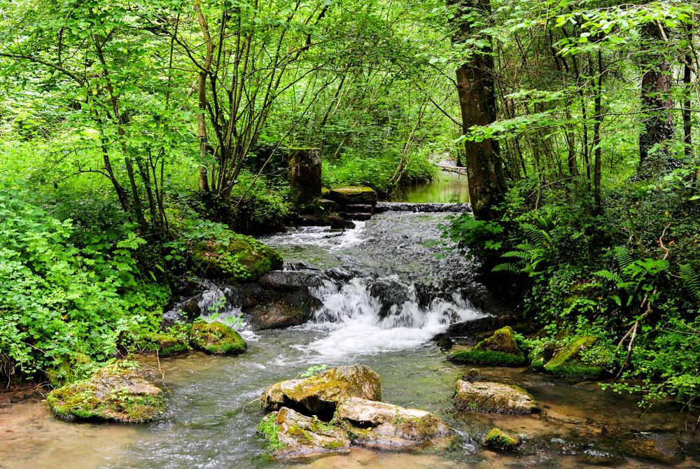 Ardennen natuur