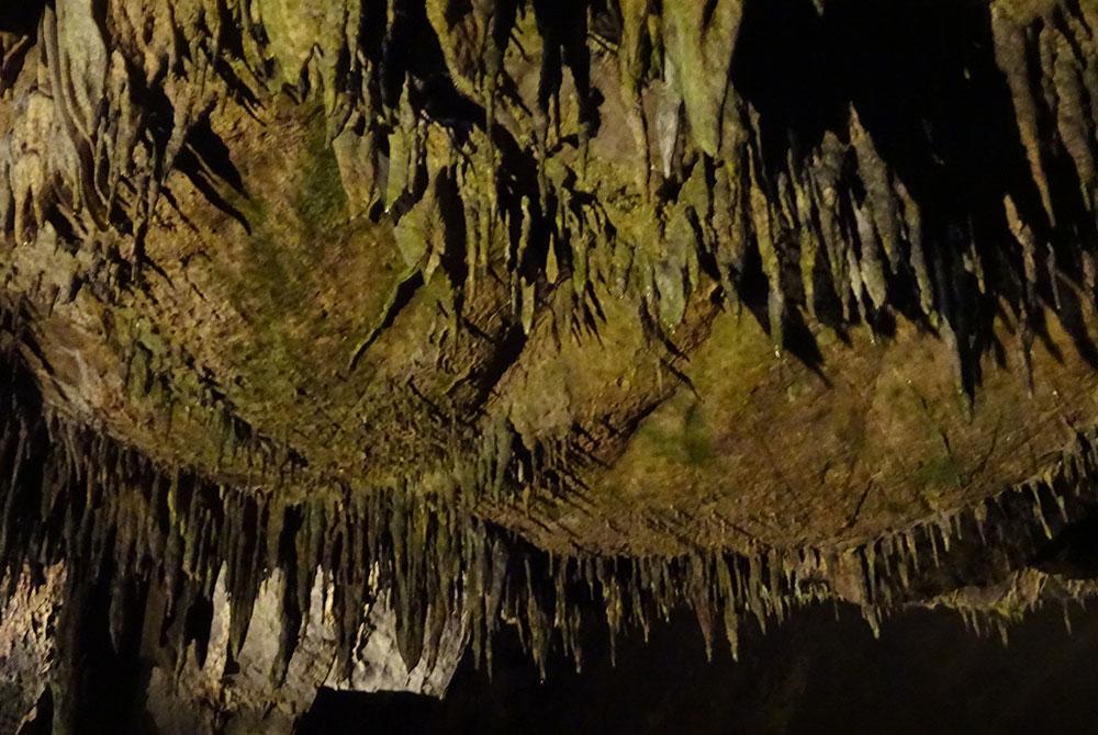 Het Domein van de Grotten van Han