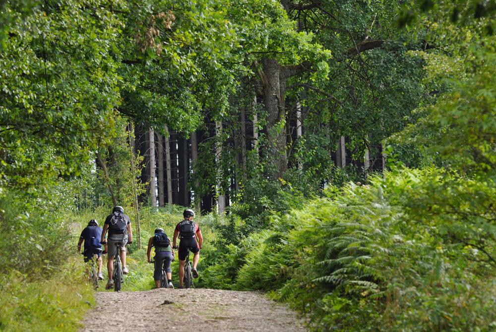 Mountainbike Ardennen, Vakantiepark Vallée les Etoiles