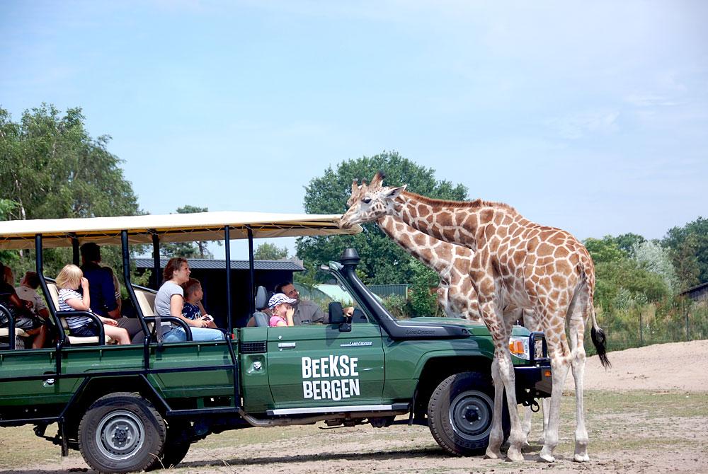 Safaripark Beekse Bergen, Noord-Brabant