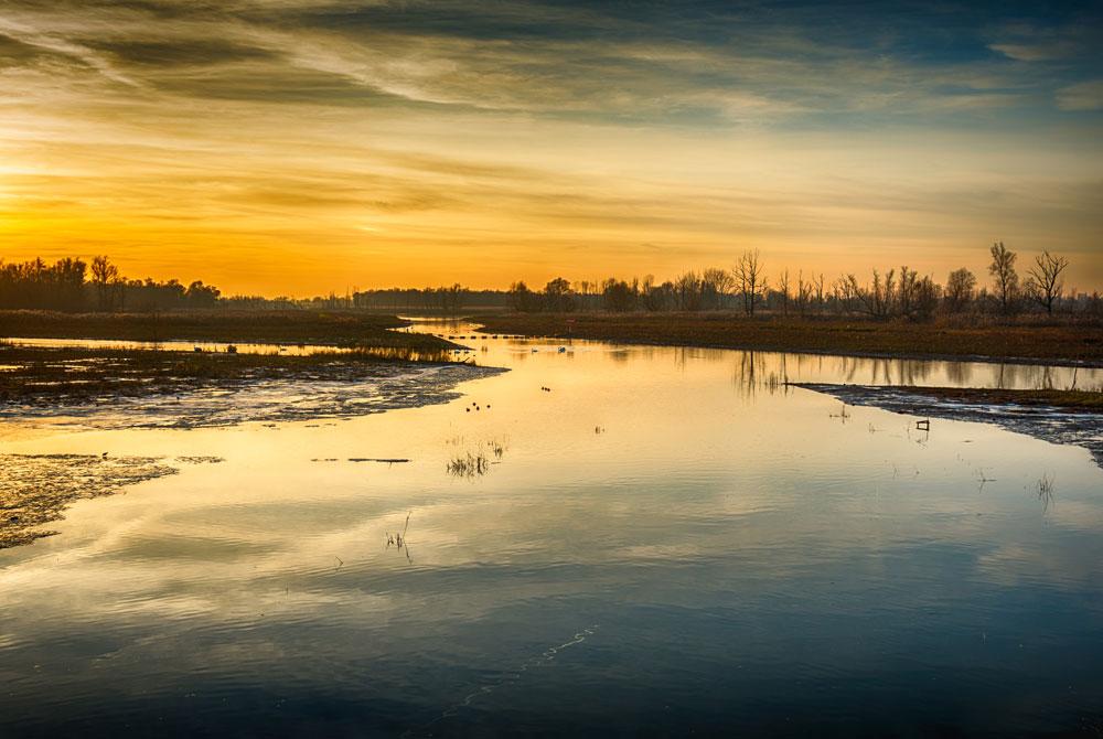 Nationaal Park De Biesbosch, Noord-Brabant