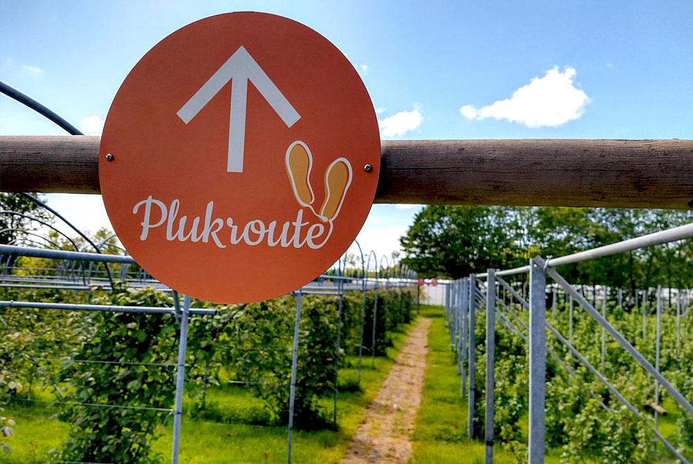 Zelfpluktuin, Landal Sluftervallei
