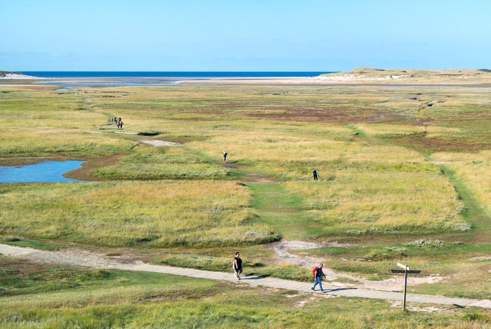 De Slufter - Wat te doen op Texel