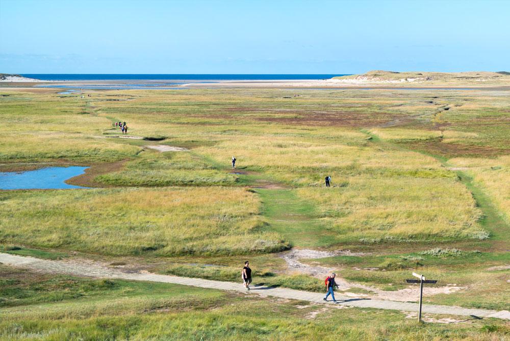 De Slufter - Wat te doen op Texel