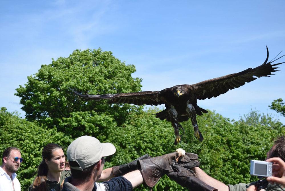 Dierenpark Texel Zoo - Wat te doen op Texel