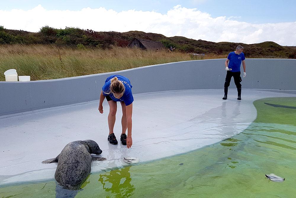 Ecomare - Wat te doen op Texel