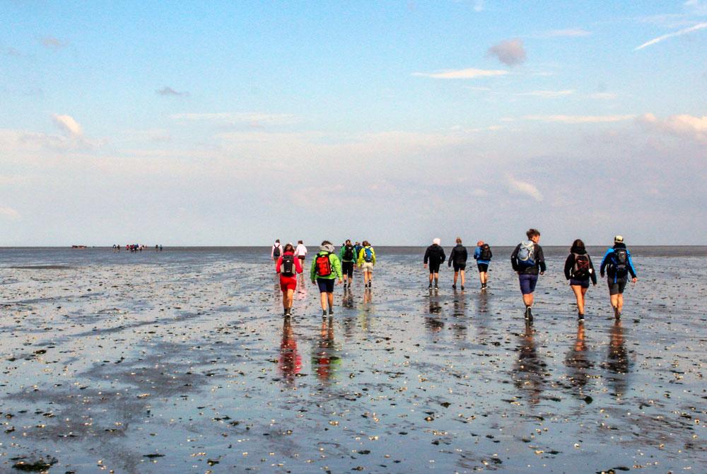 Wadlopen - Wat te doen op Texel