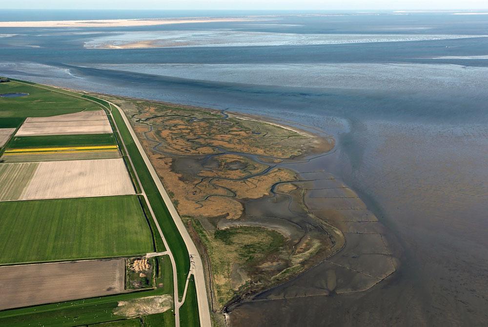 De Schorren - Wat te doen op Texel