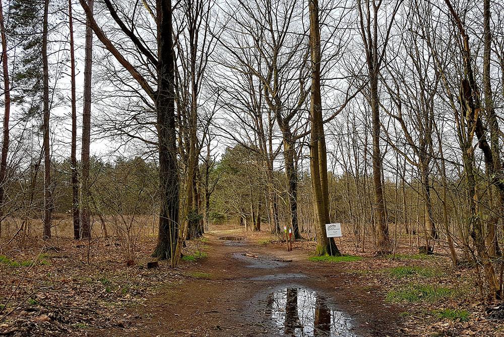 Natuur Landal De Vers