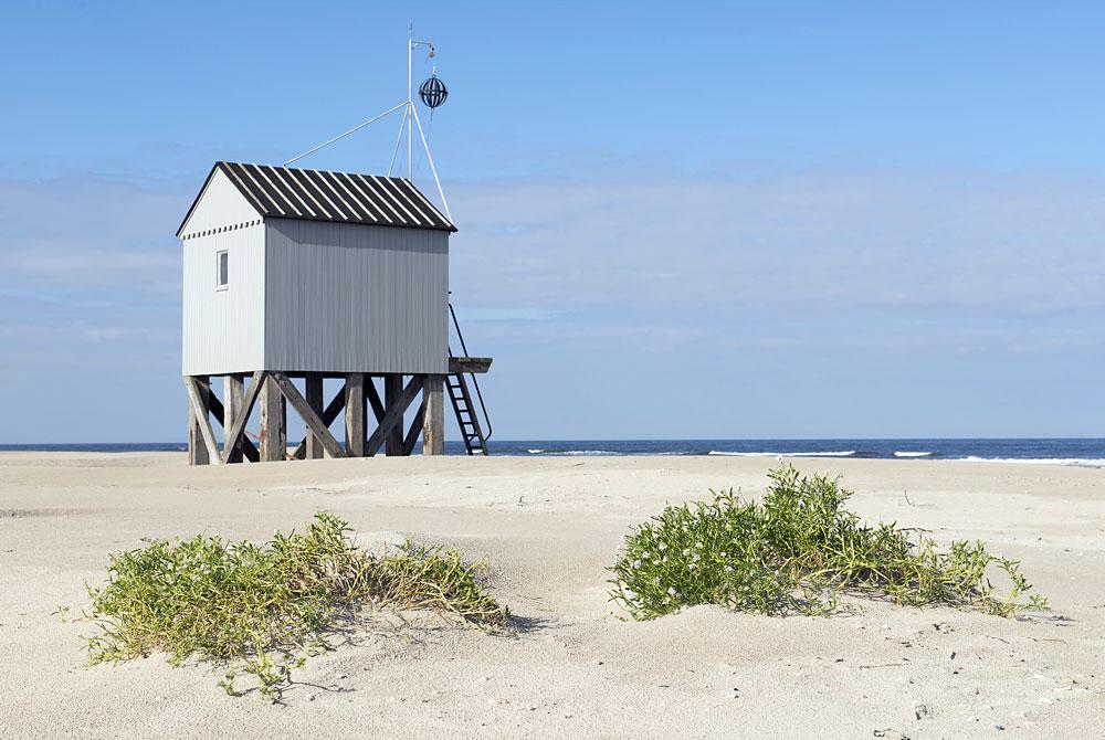 Strand, Terschelling