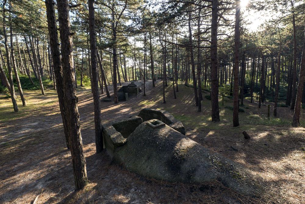 De Bunkers van Terschelling