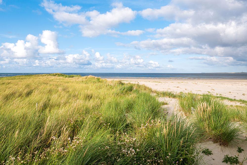 De Boschplaat, Terschelling