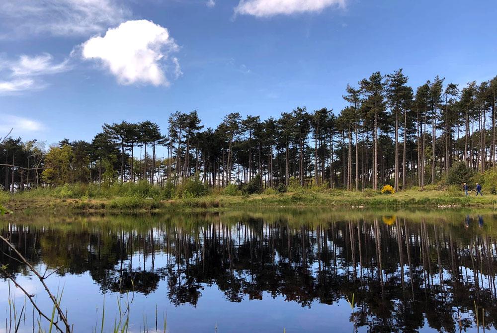 Doodemanskisten, Terschelling