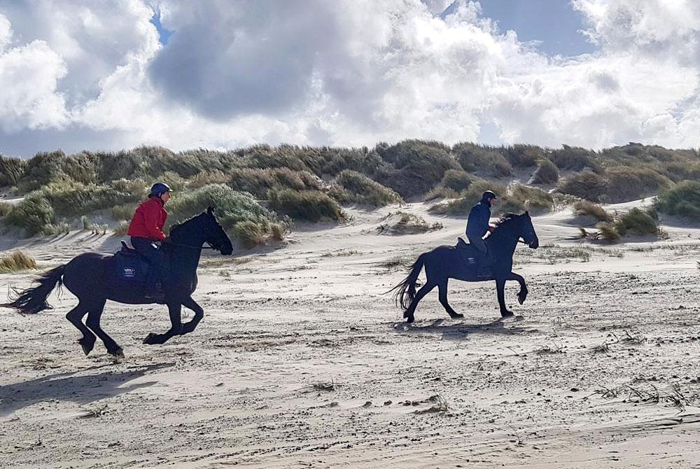 Paardrijden, Terschelling