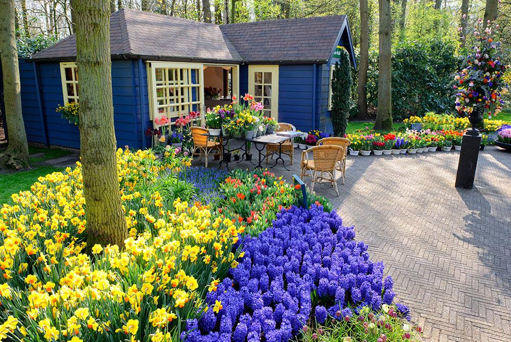 Keukenhof, Nederland