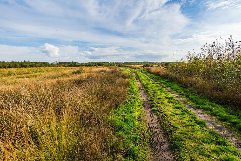 Nationaal Park de Groote Peel, Nederland