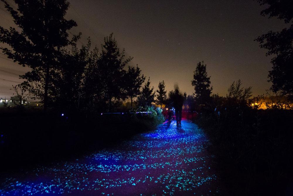 Van Gogh-Roosegaarde fietspad, Nederland