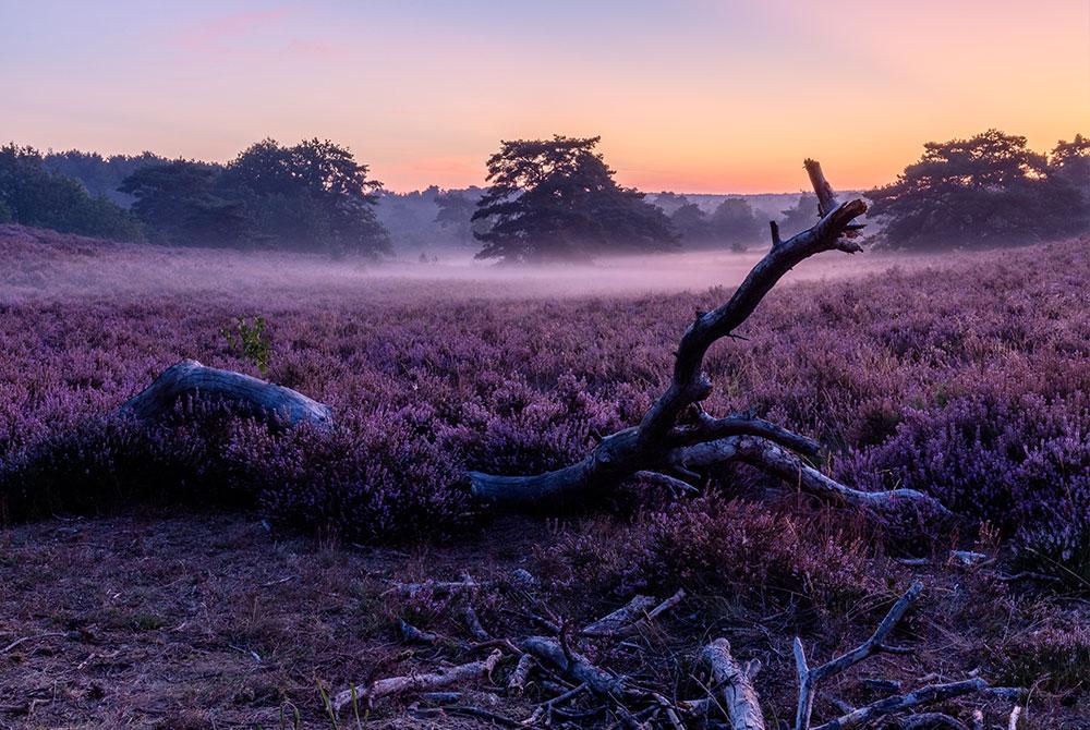 Brunssummerheide, Zuid-Limburg