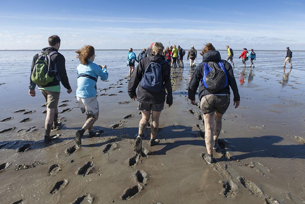 Wadlopen, Vlieland