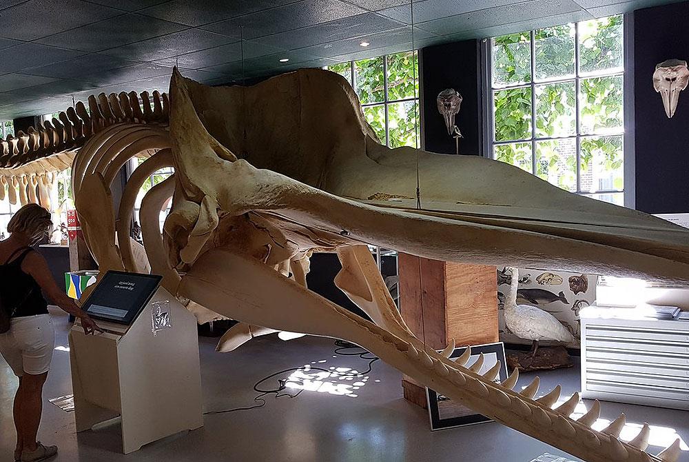 Museum de Noordwester, Vlieland