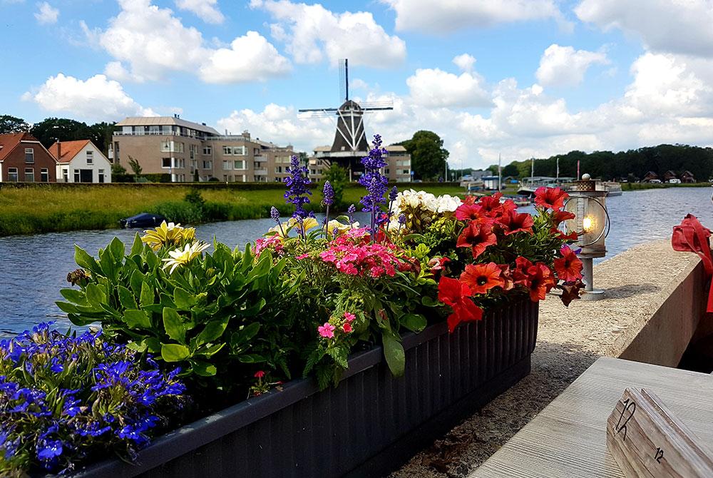 Ommen, Hof van Salland