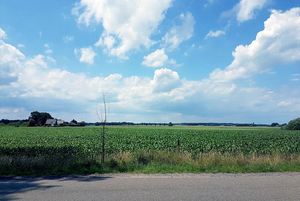 Omgeving, Hof van Salland