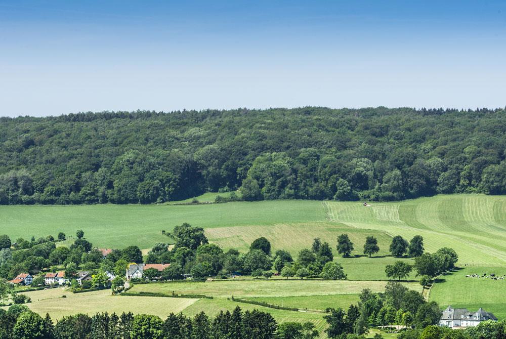 Wandelen, Landal Hoog Vaals