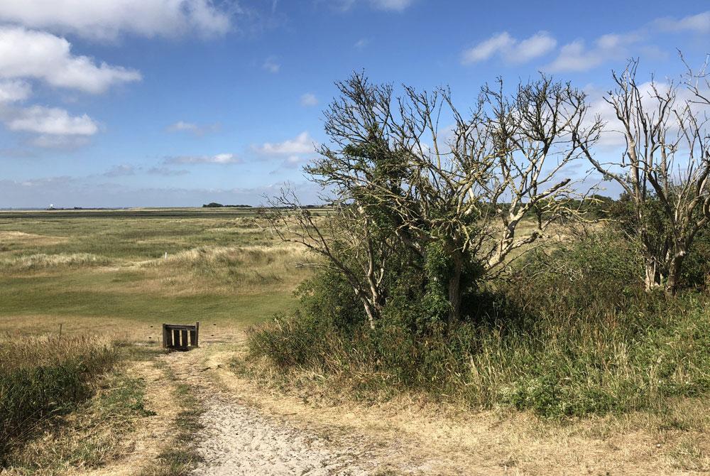 Kobbeduinen, Schiermonnikoog