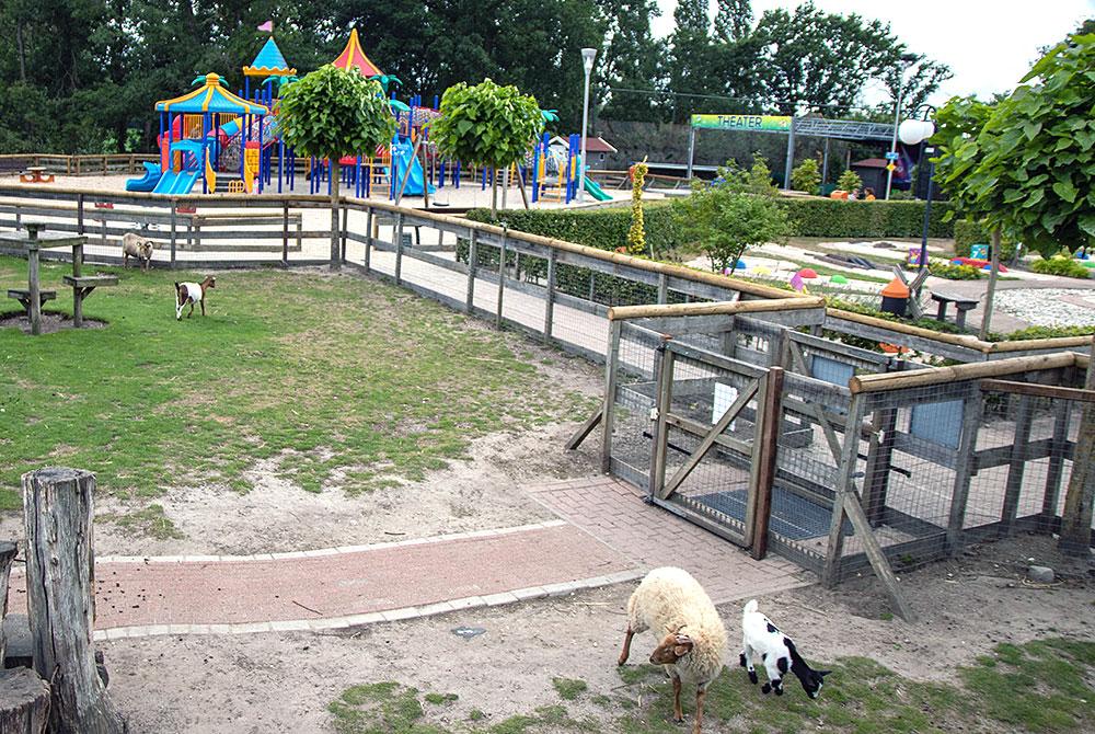 Kinderboerderij, Roompot Resort Arcen